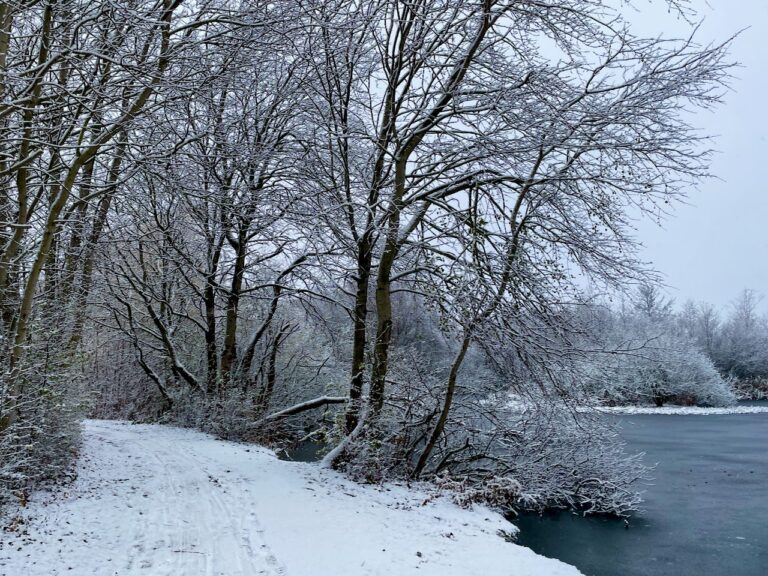 Snow covered lakes in Denmark during winter season