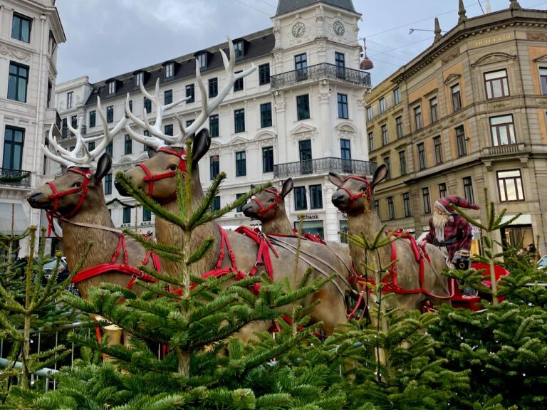 Raindeers at Kongens Nytrov Copenhagen Christmas market