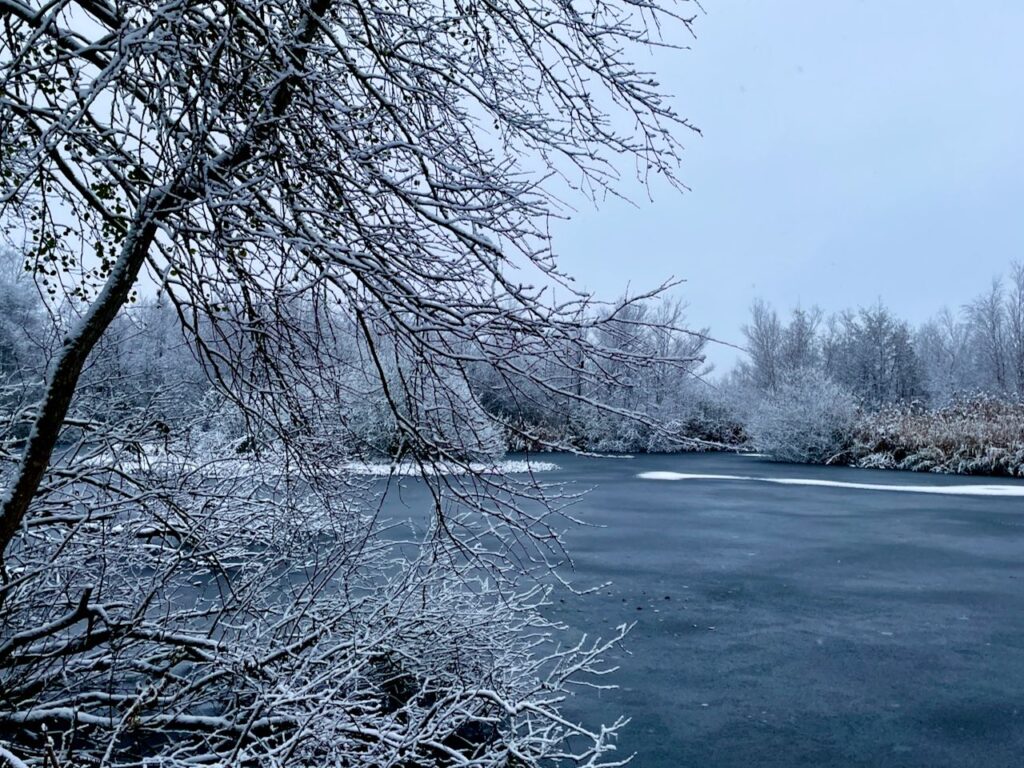 Snow in Denmark - Frozen lakes