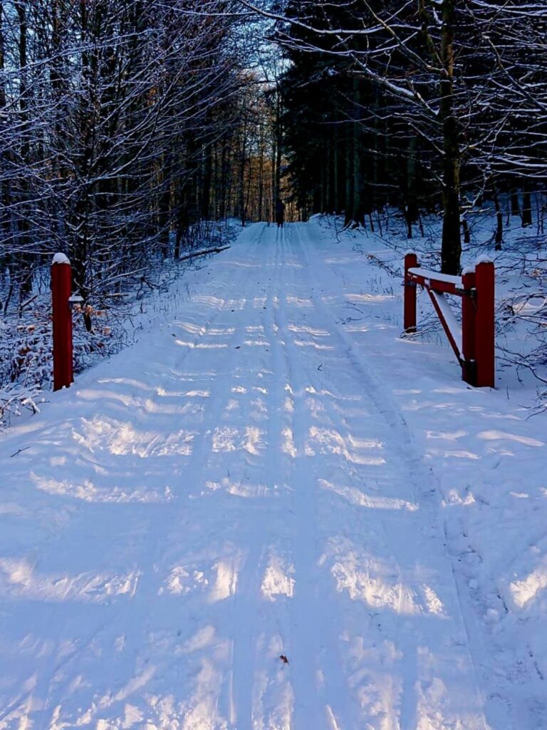 Cross country skiing trails in Denmark