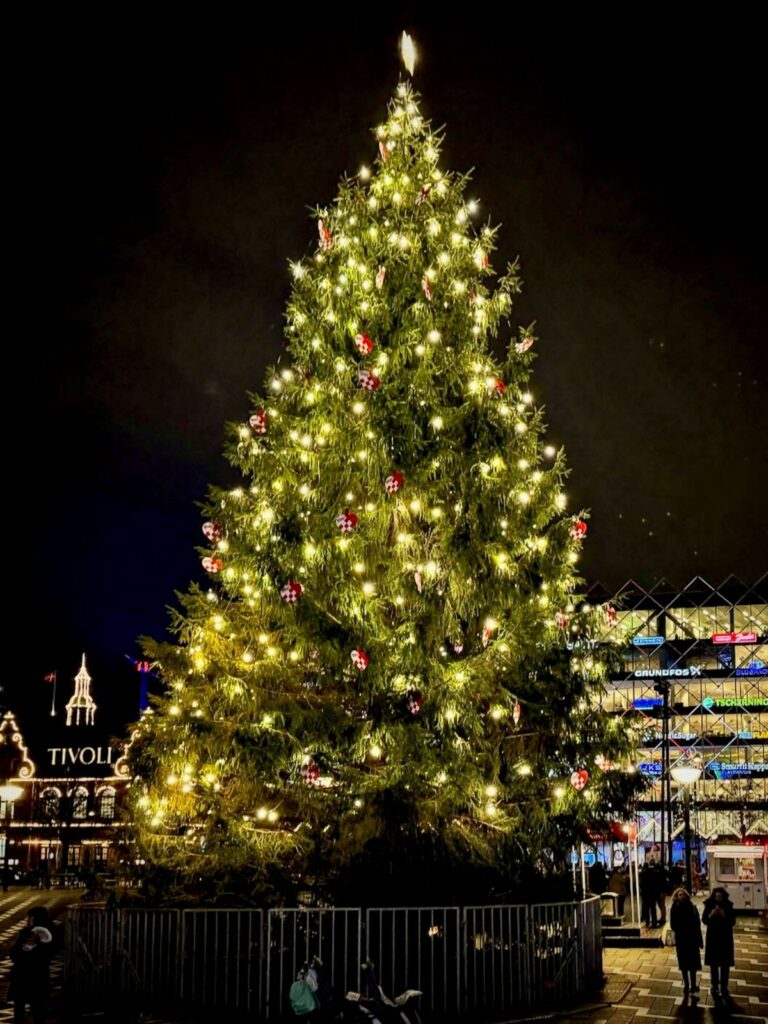 Denmark's biggest Christmas tree or Juletræ at the Copenhagen City Hall Square or Rådhuspladsen