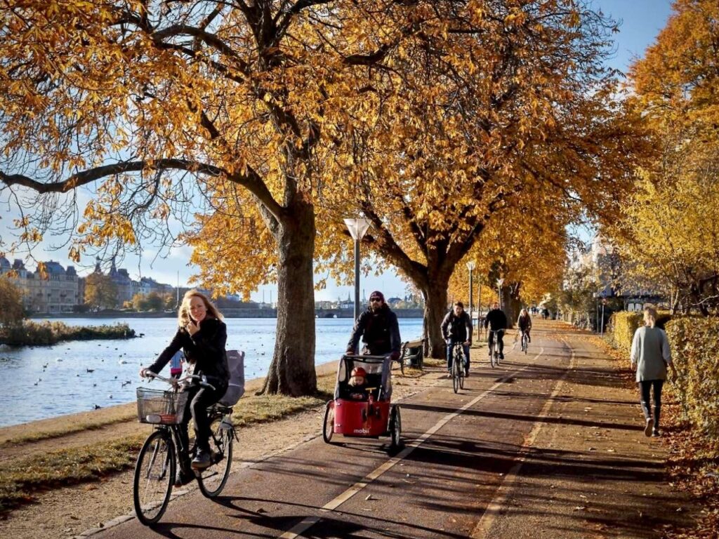 Danes cycling in Copenhagen Denmark