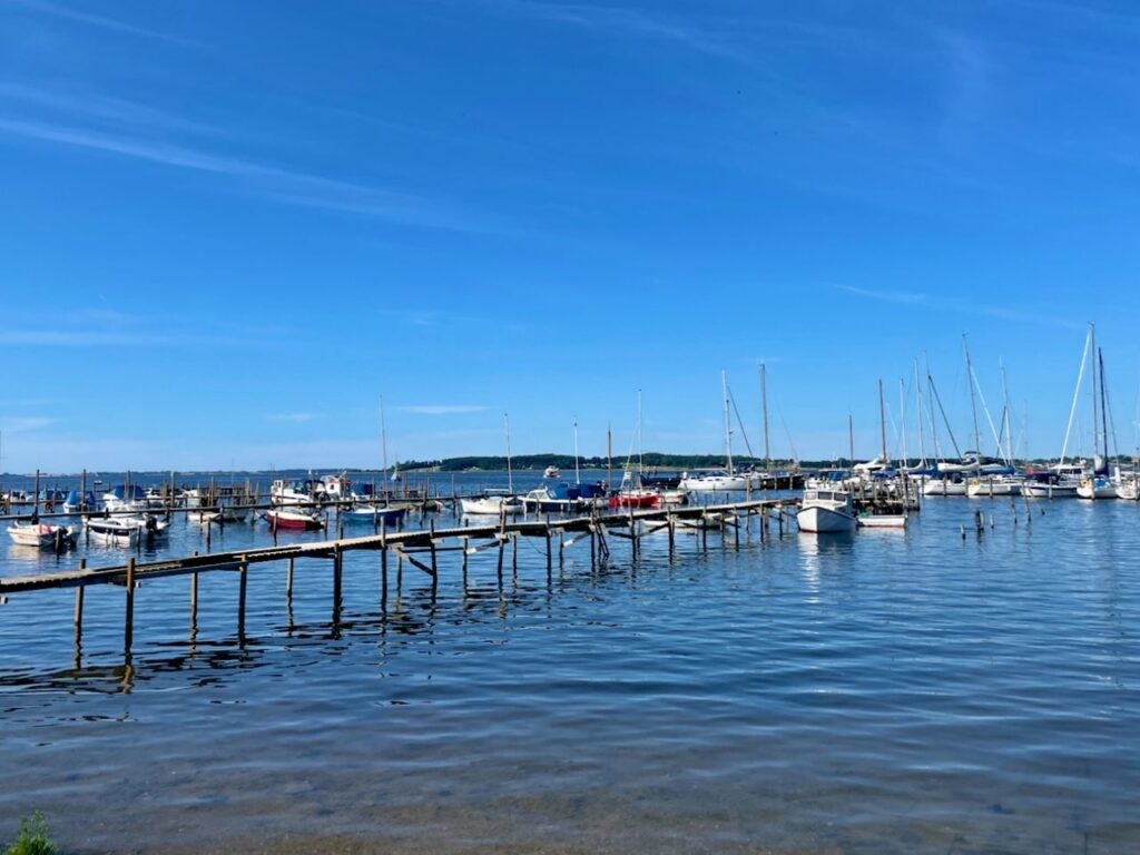 Ships docked at the Roskilde harbour