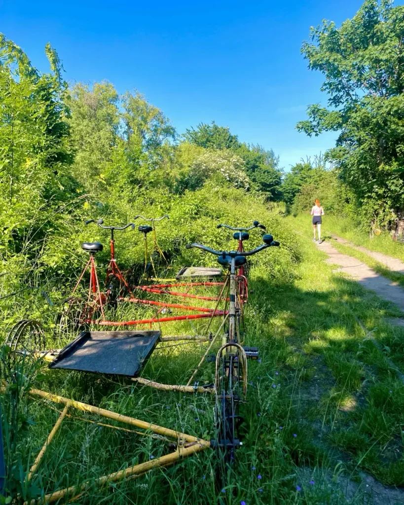 Amagerbanensvenner biking on the old train tracks, an offbeat thing to do in Copenhagen
