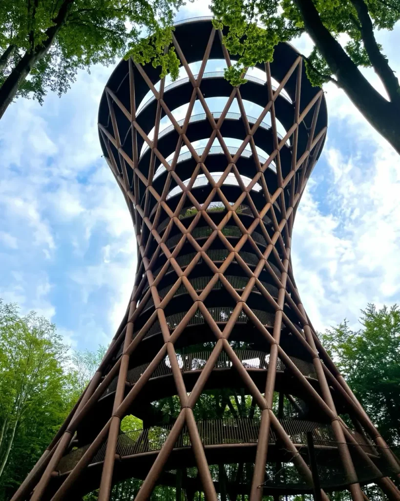 Full view of forest tower
