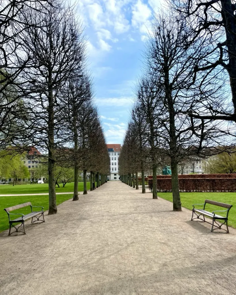 Trees aligned at Symmetrically at Kings Garden