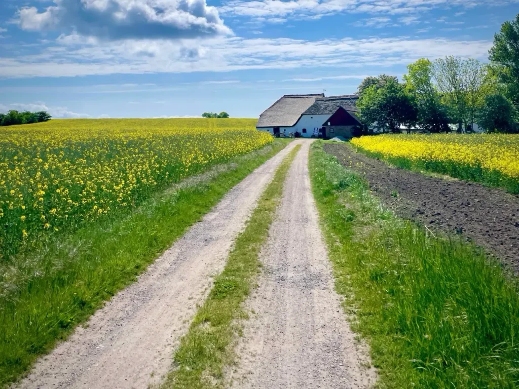 Houses and flower fields at Ven Island