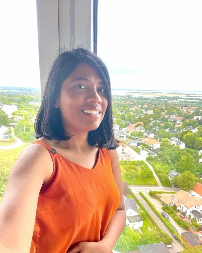 View from Aalborg Tower