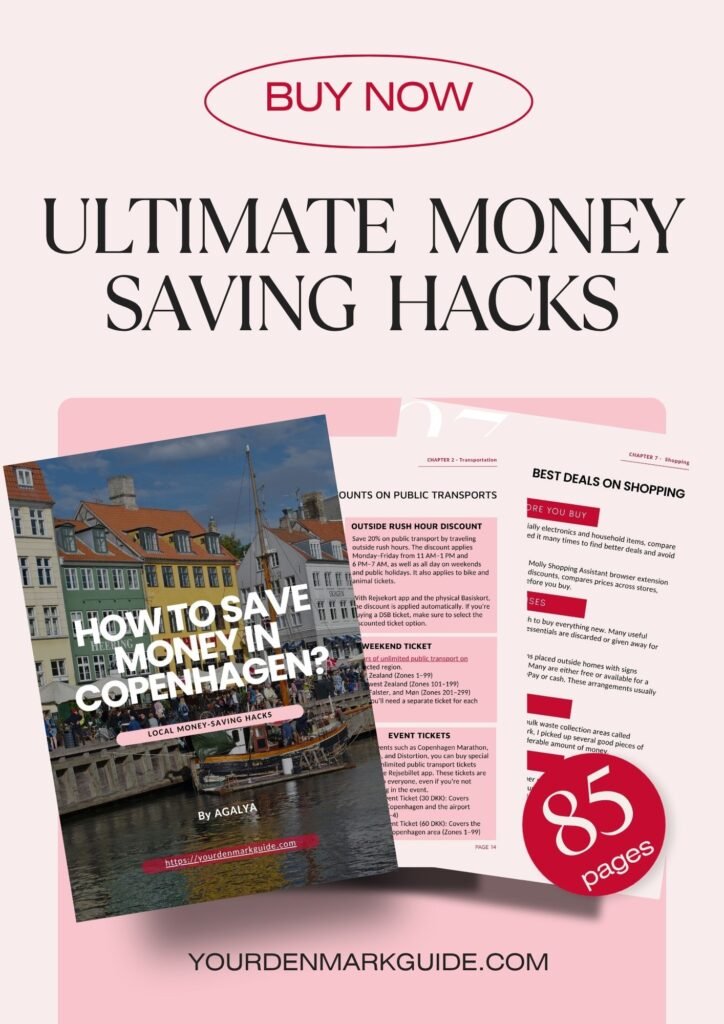 Copenhagen on a budget: ultimate money saving guide ebook