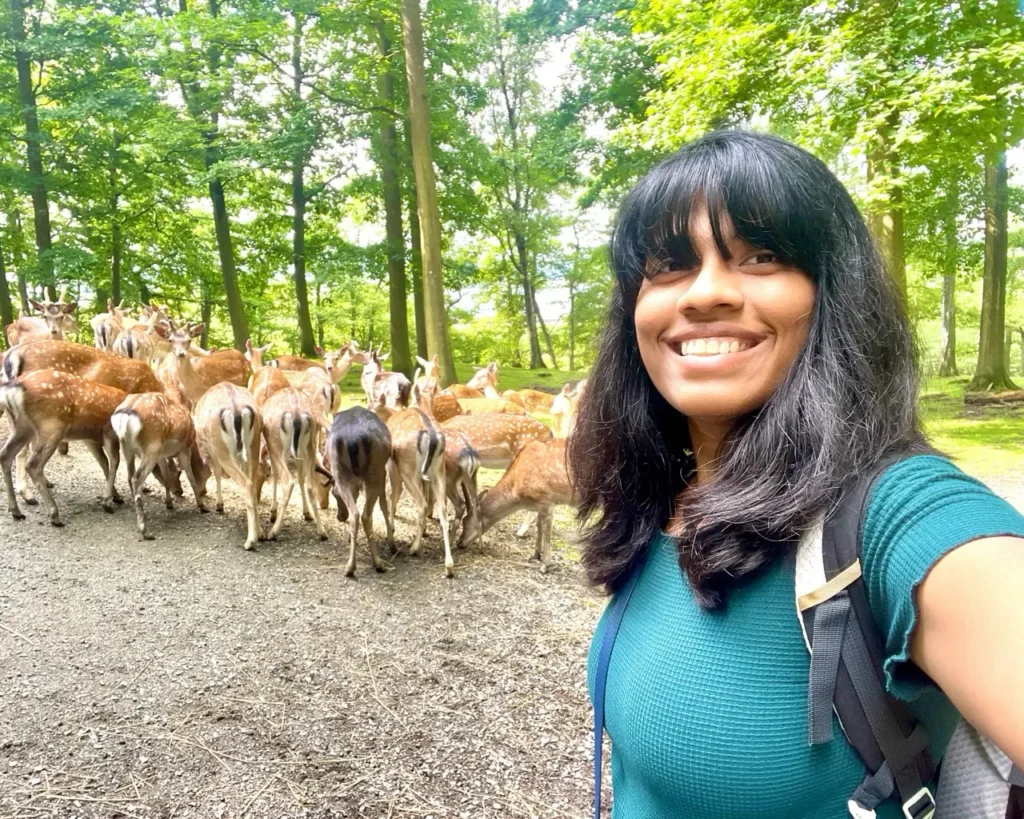 Agalya with deers at Vejle Dyrehaven