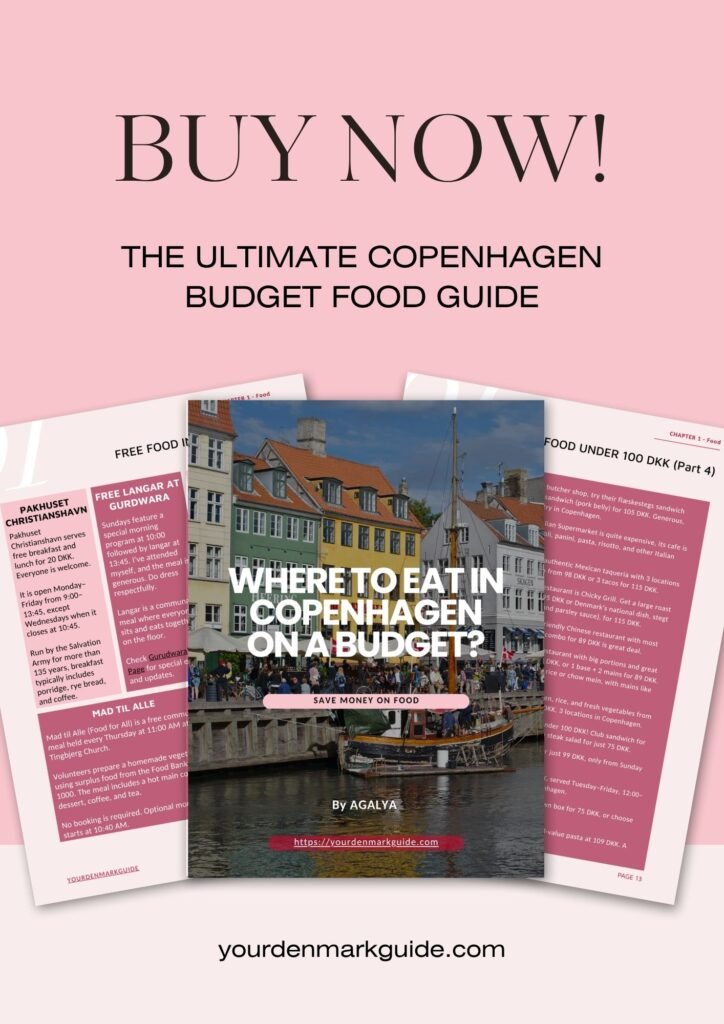 Where to eat in Copenhagen on a budget ebook
