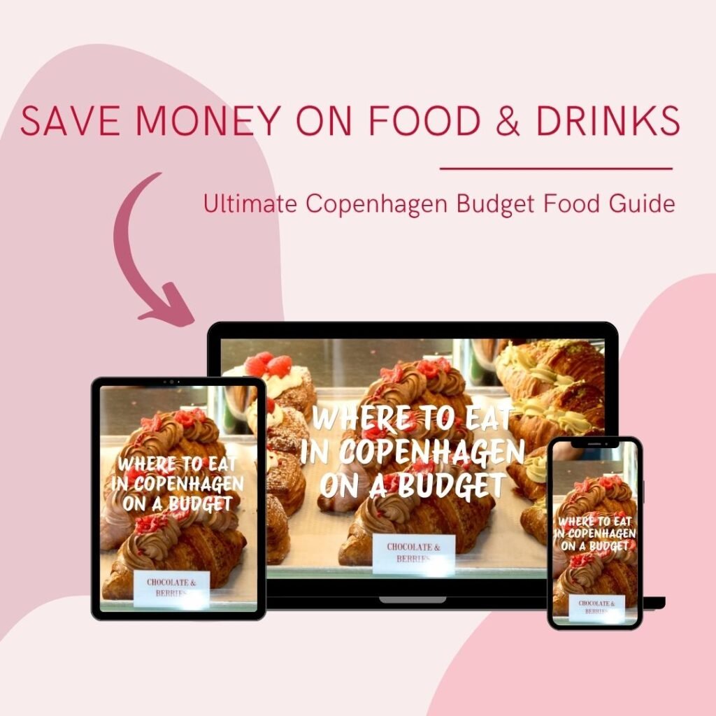 copenhagen budget food and drinks ebook